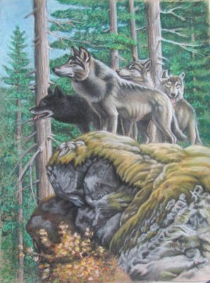 Wolves in pastel